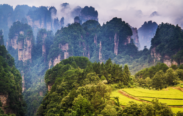 Day 5: Guangzhou-Zhangjiajie