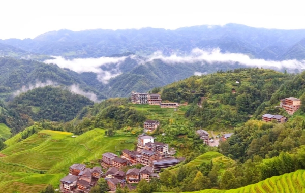 Day 2: Longji Rice Terrace
