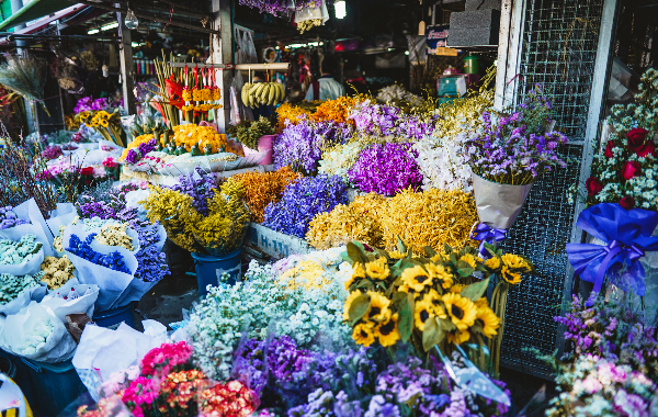 Day 3: Guiyang Arrival