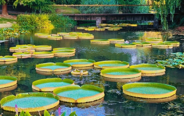 Day 11:Shanghai Departure