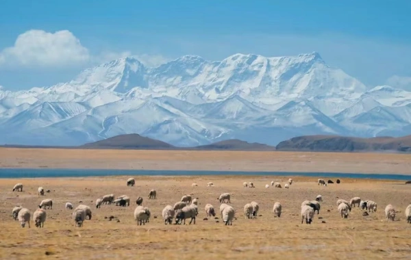 Day 10 Tibet--Chengdu