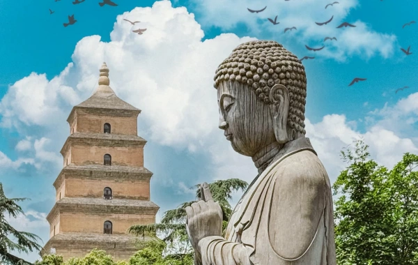 China Culture & Mount Hua Tour