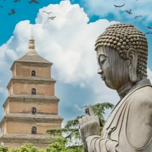 China Culture & Mount Hua Tour