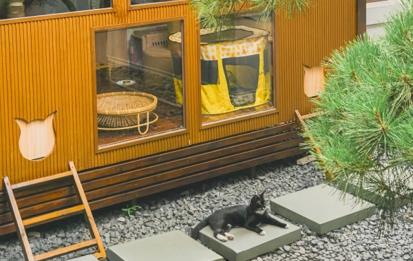 Day 3: Shanghai-Mount Huang