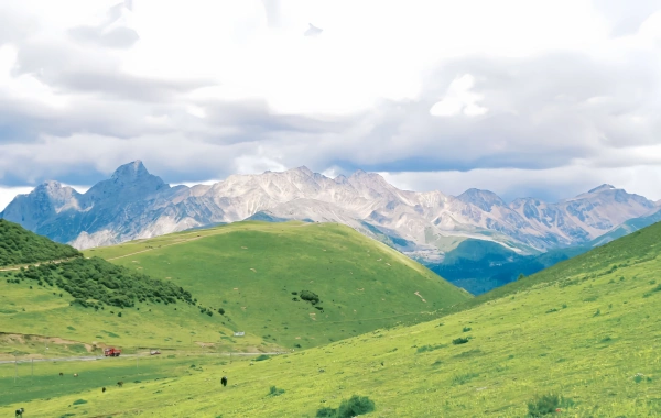Panda & Mount Siguniang Tour