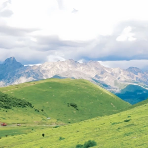 Panda & Mount Siguniang Tour