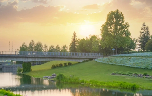 Day 8：Departure from Shanghai