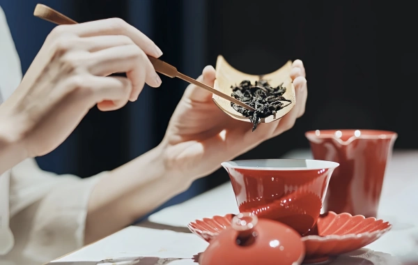 1-Day Chengdu Cultural Tour