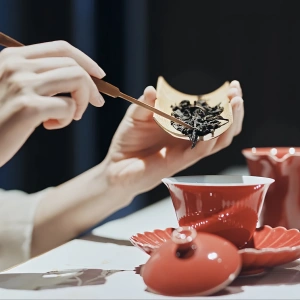 1-Day Chengdu Cultural Tour