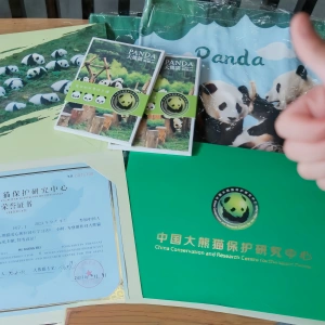 One-Day Panda Keeper Experience at Dujiangyan China Giant Panda Garden