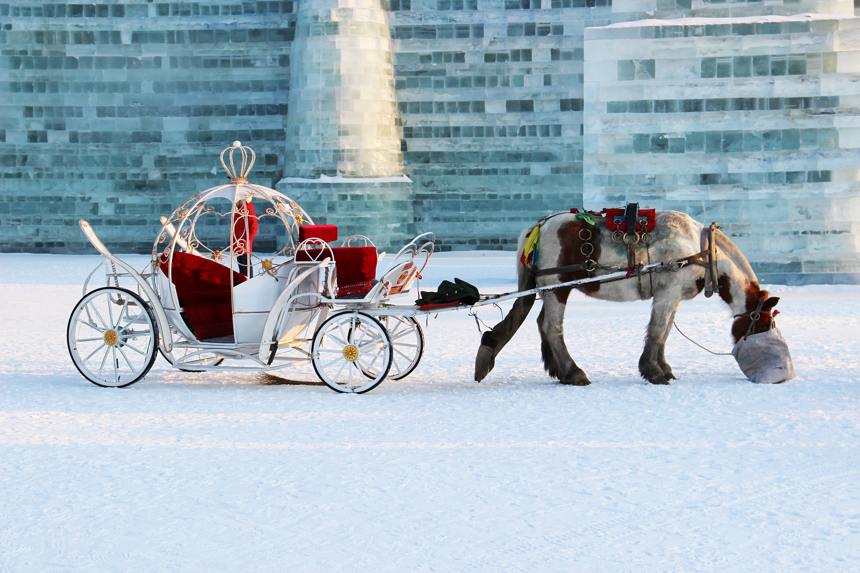 Day 1: Harbin Arrival