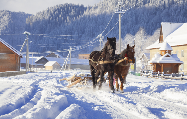 Day 7: Yanji Departure