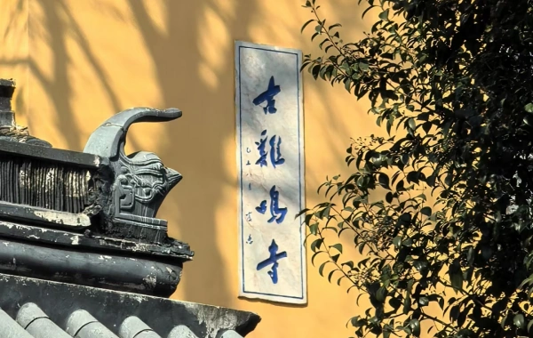 Day 6: Nanjing Departure