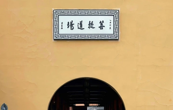 Jour 1 : arrivée à Shanghai