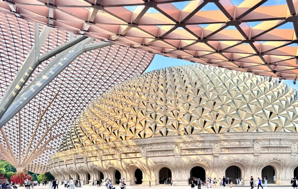 Day 4: Nanjing Departure