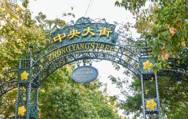 Day 7: Changchun - Harbin