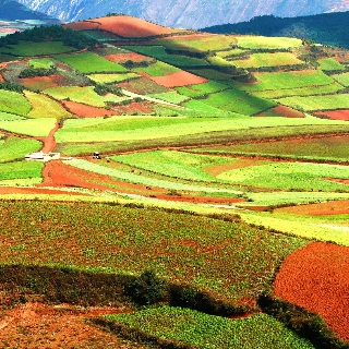 Kunming Dongchuan Red Land 3-Day Tour