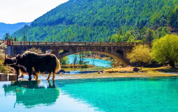 Day 2: Kunming – Lijiang