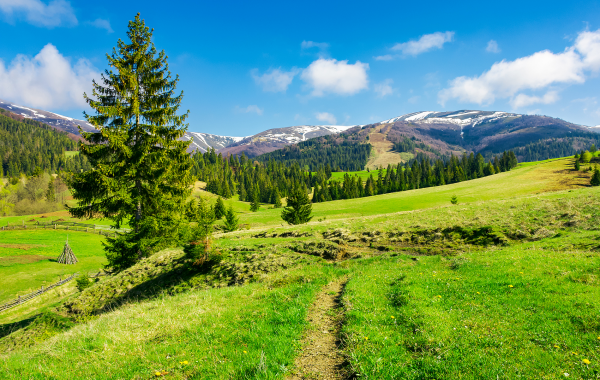 Day 2: Lijiang Arrival