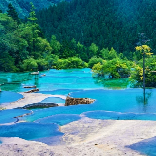 Jiuzhaigou & Panda Valley Nature and Panda Tour