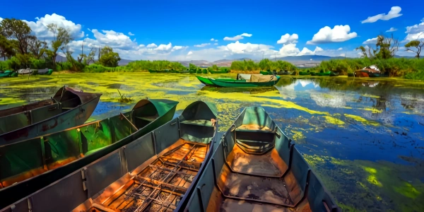 Day 4: Mile -- Kunming