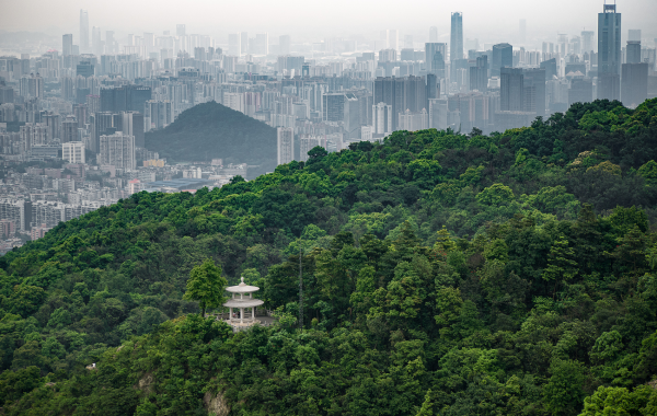 Day 7: Guangzhou Departrure