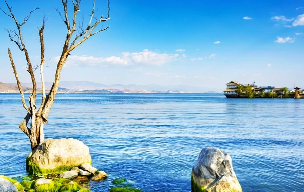 День 1: Дали