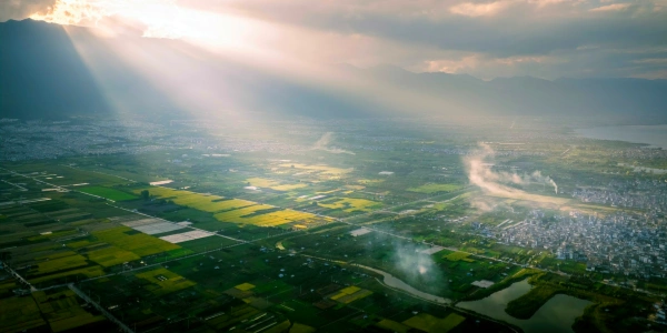 День 1: Дали