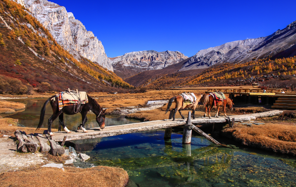 Day 6: Shangrila Departure