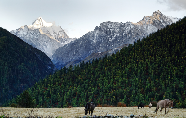 Day 6: Shangrila Departure