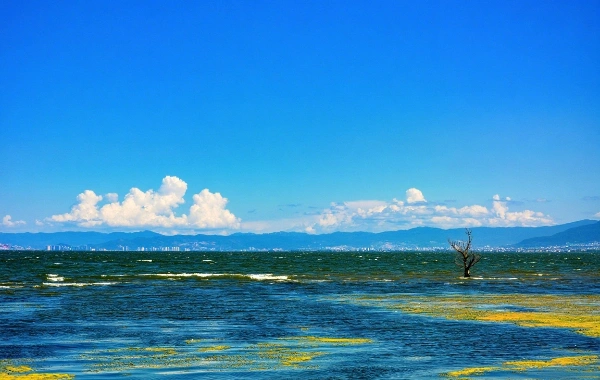 Day 3: Lijiang--Dali