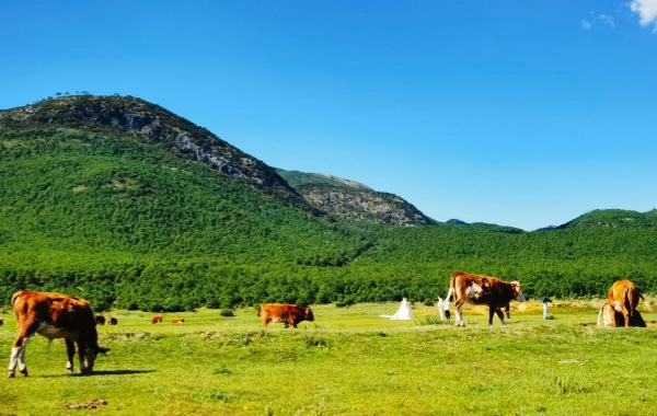 1-Day Lijiang Cultural Tour