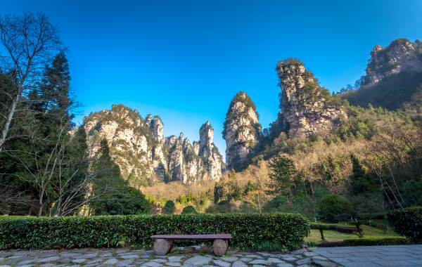 Day 4: Zhangjiajie