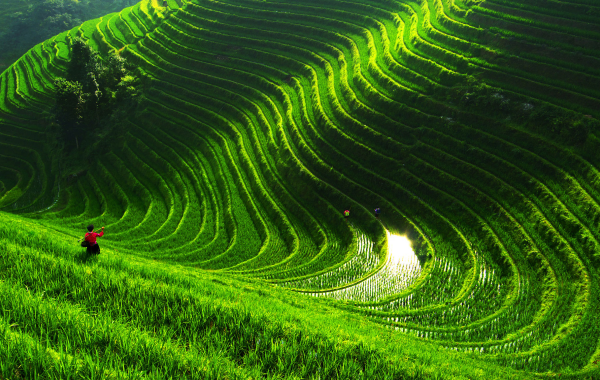 Día 1: Llegada de Guilin