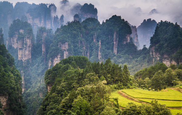 Día 7: Salida Zhangjiajie