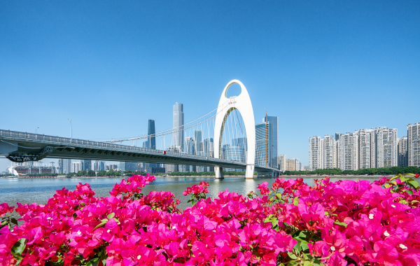 Day 6: Guangzhou Arrival