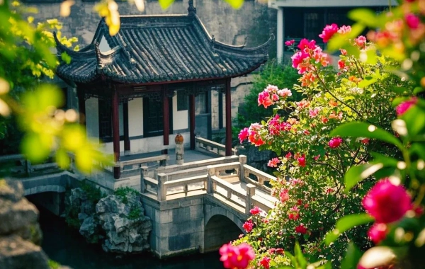 Day 8: Return to Guangzhou