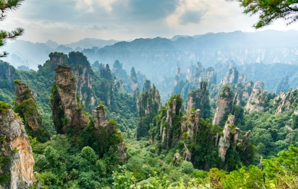 Day 5: Zhangjiajie National Park