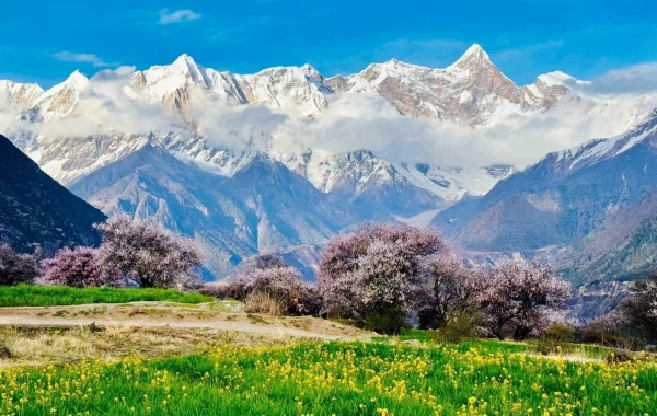 Day 6：Lhasa-Chengdu