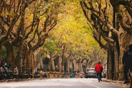 Day 1: Arrive in Beijing