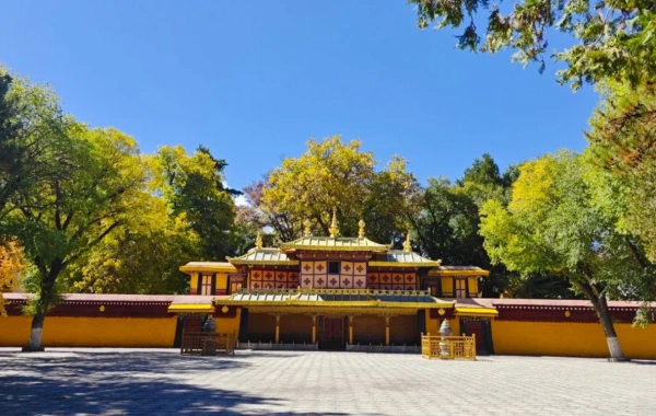 Day 8: Shigatse - Lhasa