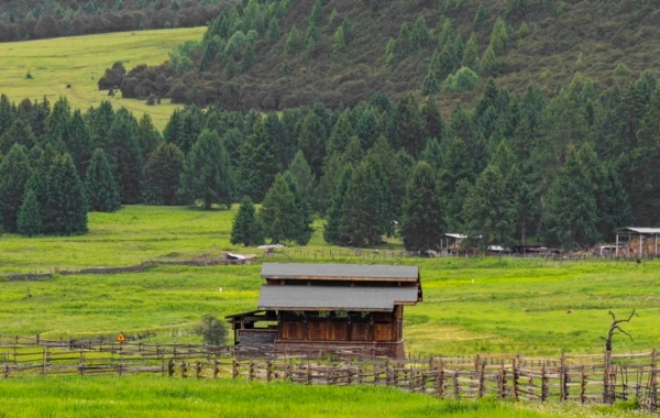 Giorno 2: Nyingchi - Bomi