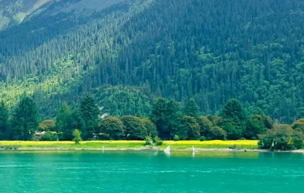 Giorno 4 | Bomi--Basongcuo