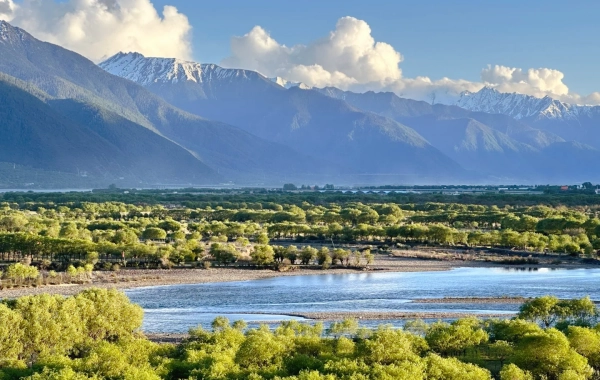 Giorno 1: Nyingchi Arrivo