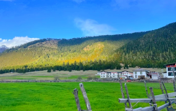 Giorno 2: Nyingchi - Bomi