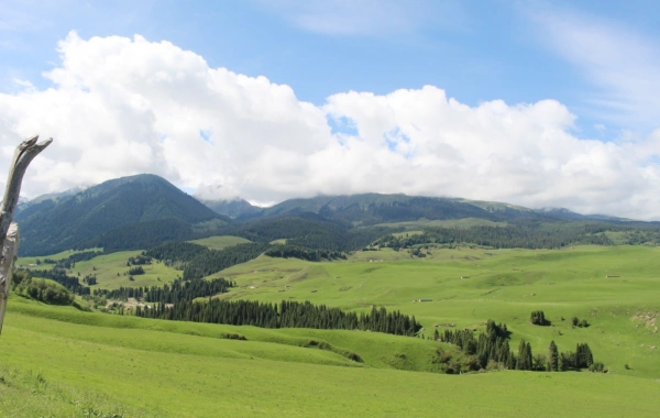 Day 1: Urumqi Arrival