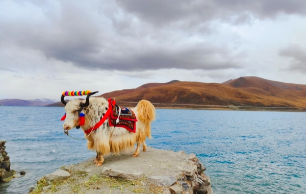 Day 3: Shannan - Lhasa