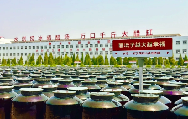 Day 1: Taiyuan - Pingyao