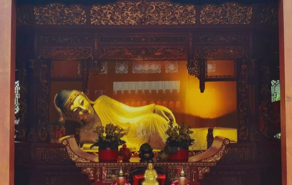 Giorno 3: Shanghai Partenza