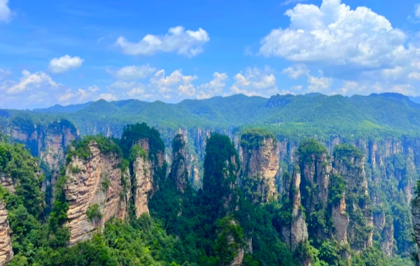 Day 3: Zhangjiajie National Forest Park